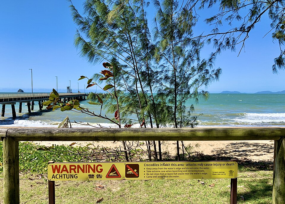 Palm Cove